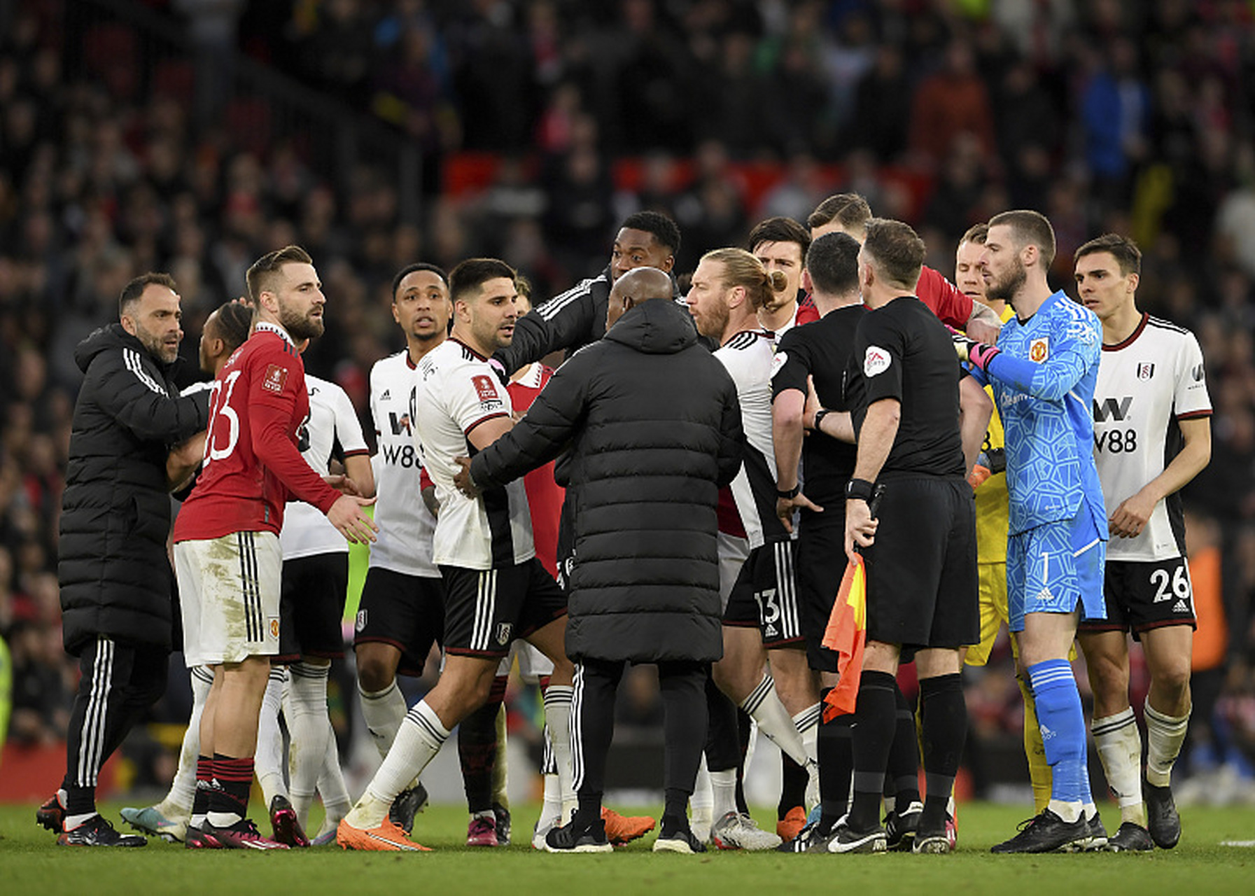 开云体育- 蒂姆获得过大满贯吗